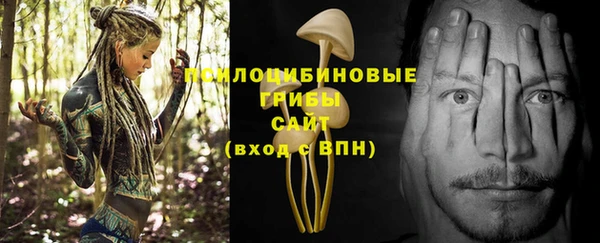 крисы Карталы