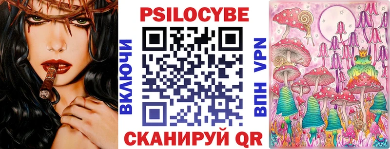 Псилоцибиновые грибы прущие грибы  Купить  Верея 